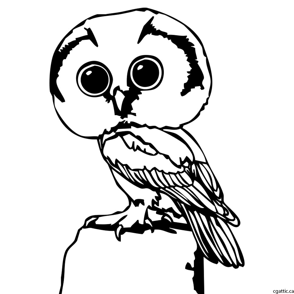1000x1000 Owl Cartoon Drawing In 4 Steps With Photoshop