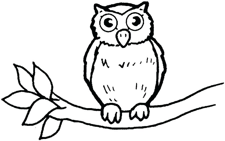 900x566 Owl To Color Owl Drawing Sketches Owls Coloring Book Pdf