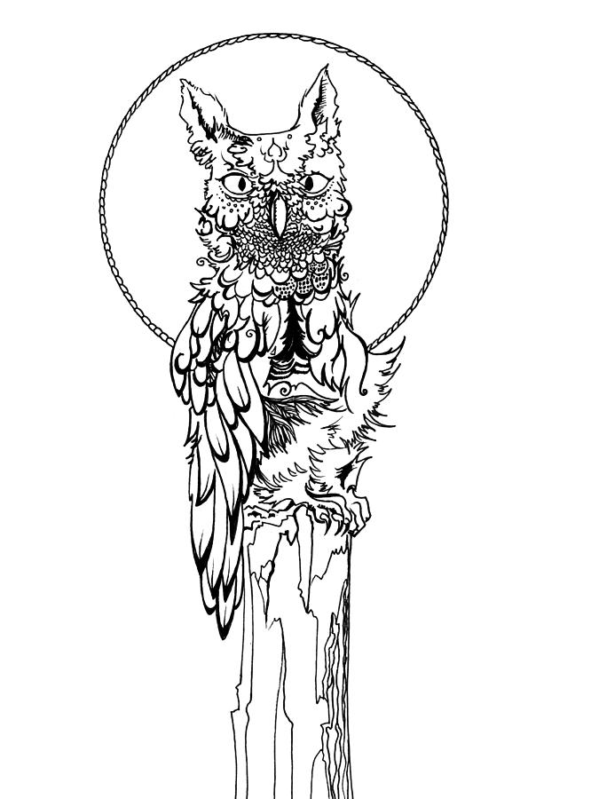 675x900 Screech Owl Drawing By Katherine Nutt