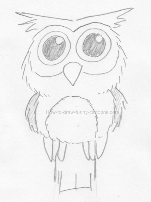 500x667 To Draw An Owl Clip Art