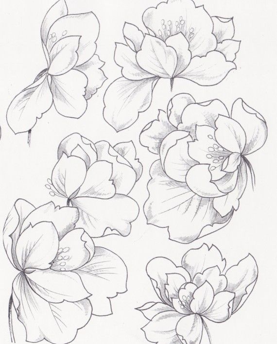 570x708 Screen Shot 2017 03 06