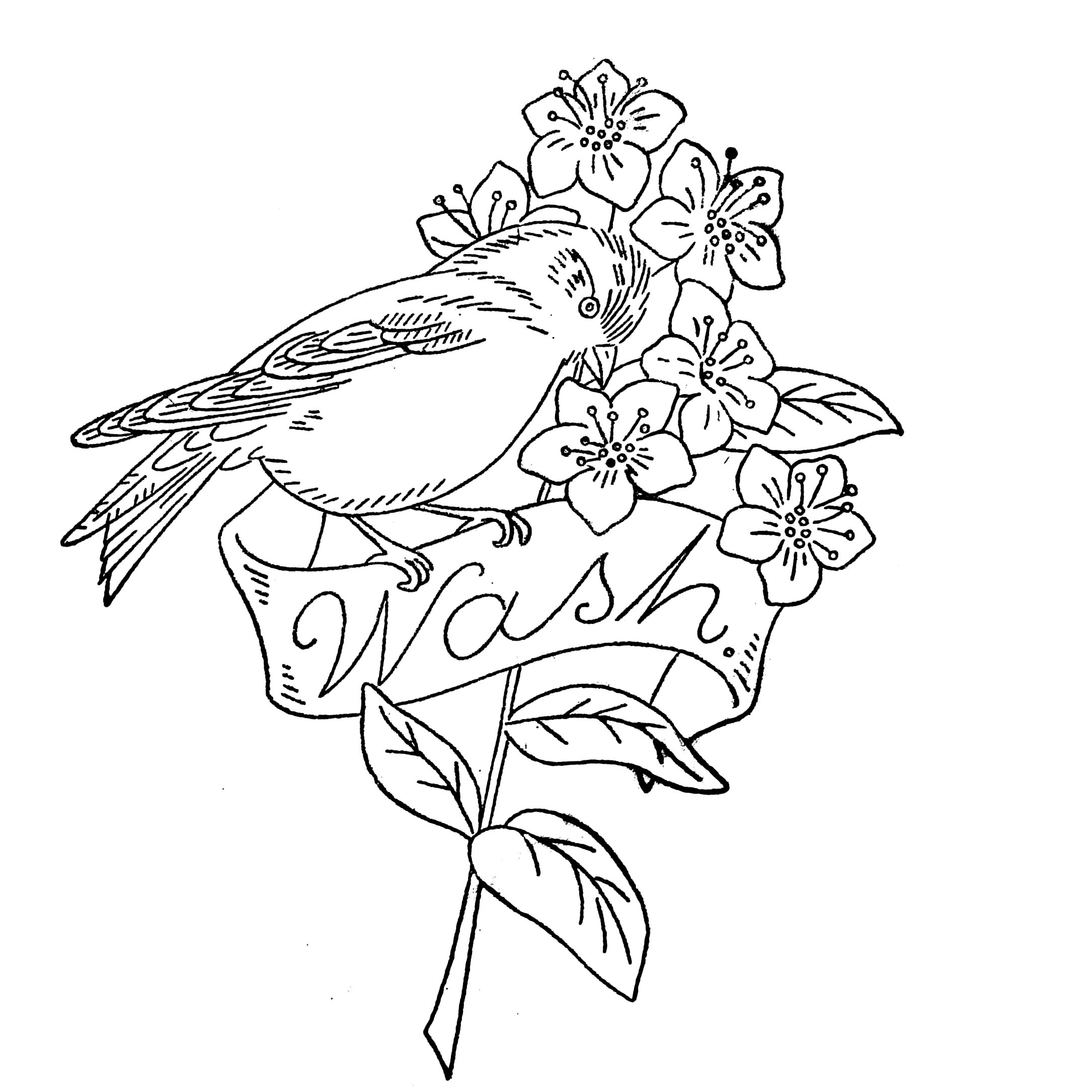 2160x2160 Screen Printing Goodstorysarah.