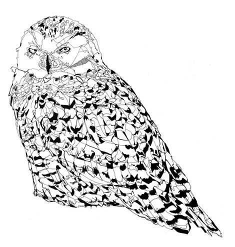 470x494 Suzy Q And The Owls.