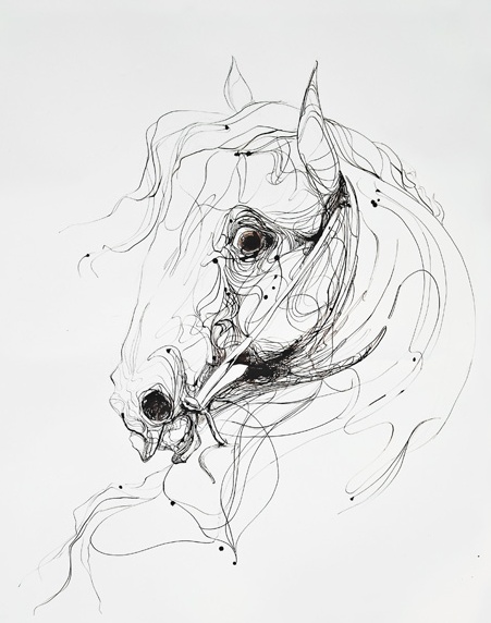 451x572 62 Best Line Drawing Images On Drawings Of, Scribble