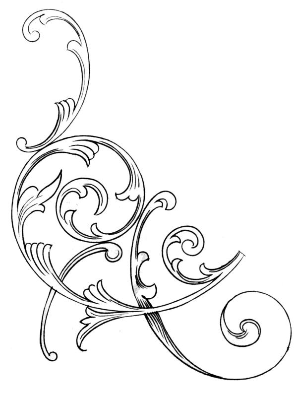 601x800 Scroll Line Clip Art