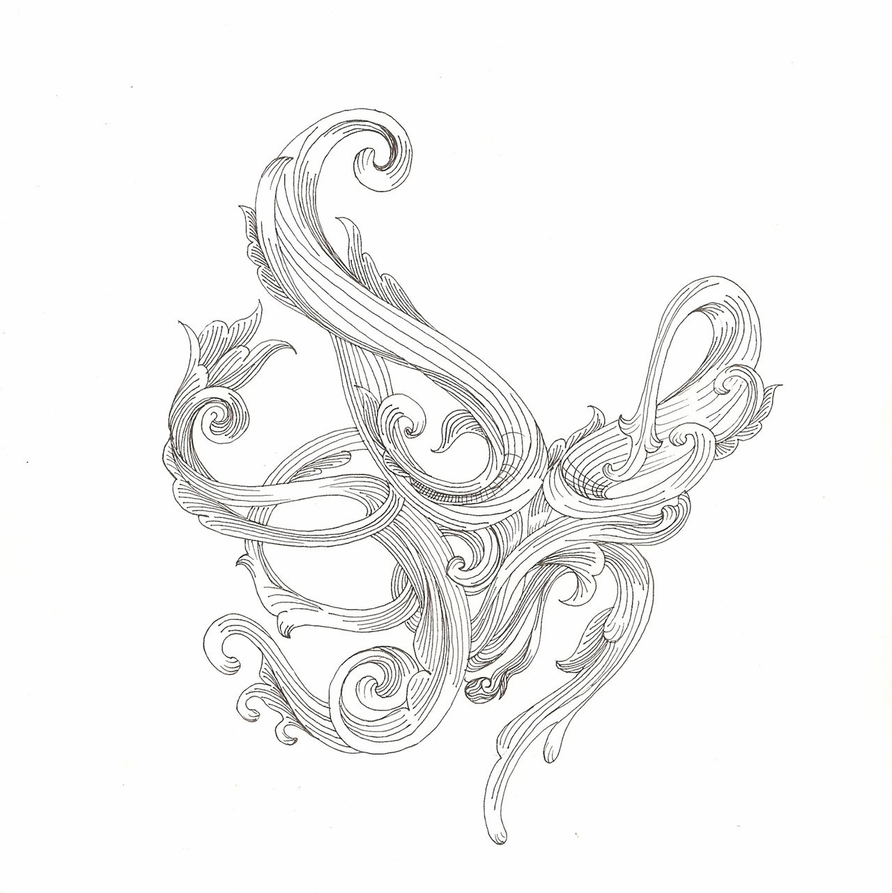 1280x1282 Octopus Drawing Scrollwork Cephalopod 2 Original