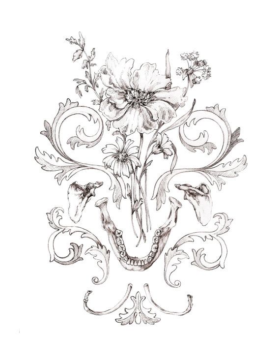 570x738 8x10 Print Of Original Drawing Mandible Bouquet By Momerathgarden