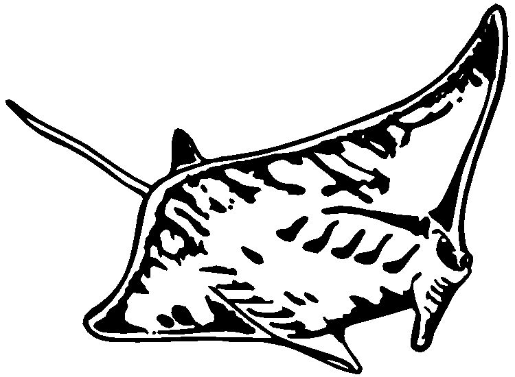 750x550 Scuba Diving (Tj)