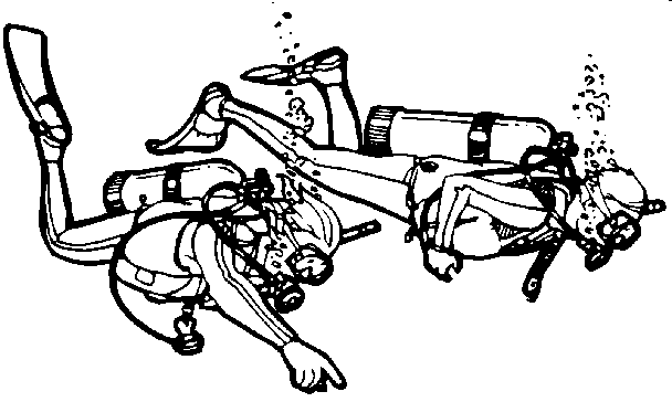 608x364 Scuba Services