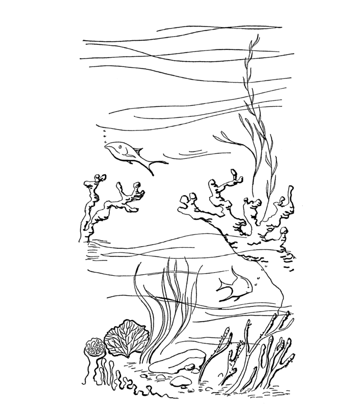 670x820 Scuba Diver Coloring Page 328969