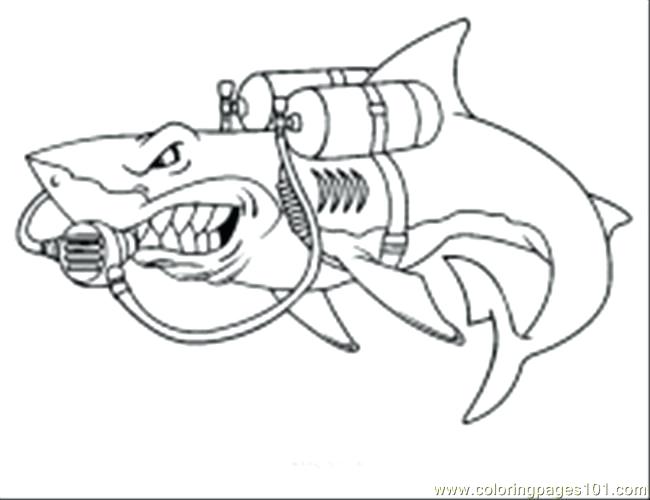 650x500 Shark Pictures To Color And Print Scuba Coloring Page Shark