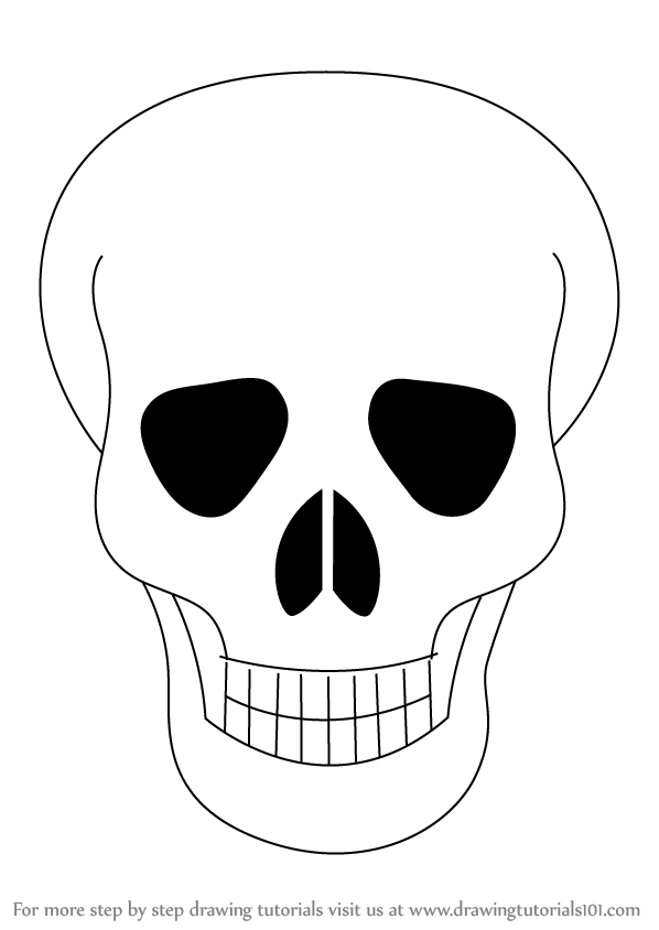 598x844 Learn How To Draw Skull Easy (Skulls) Step By Step Drawing Tutorials
