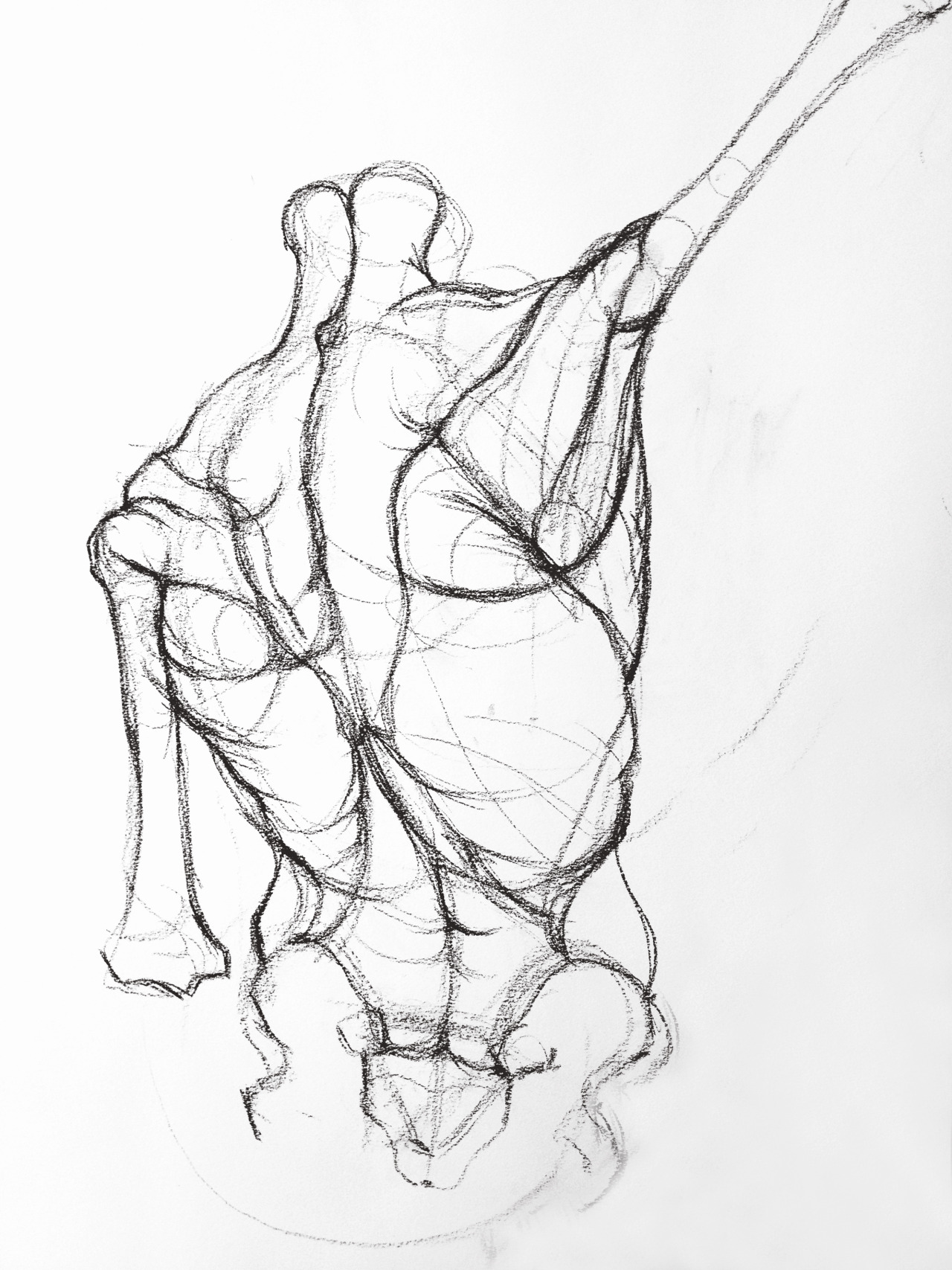 1280x1707 Figure Drawing Amp Anatomy The Torso Figure Drawings