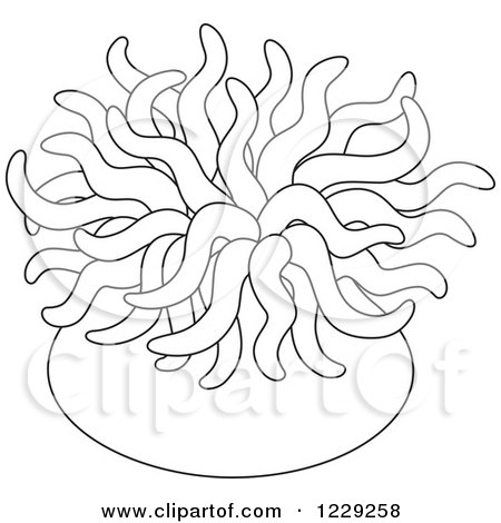 450x470 Clipart Of An Outlined Sea Anemone