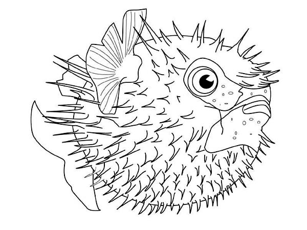600x450 Download Online Coloring Pages For Free