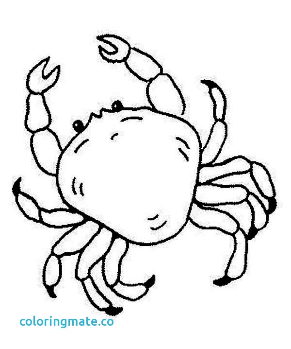 600x718 38 Sea Creature Coloring Pages
