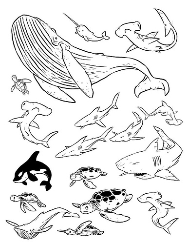 386x500 Best Photos Of Sea Creature Drawings