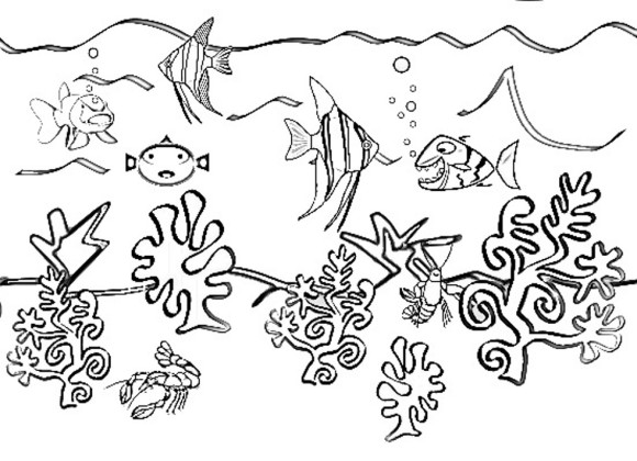 580x420 Coloring Pages Of Sea Animals Free Coloring