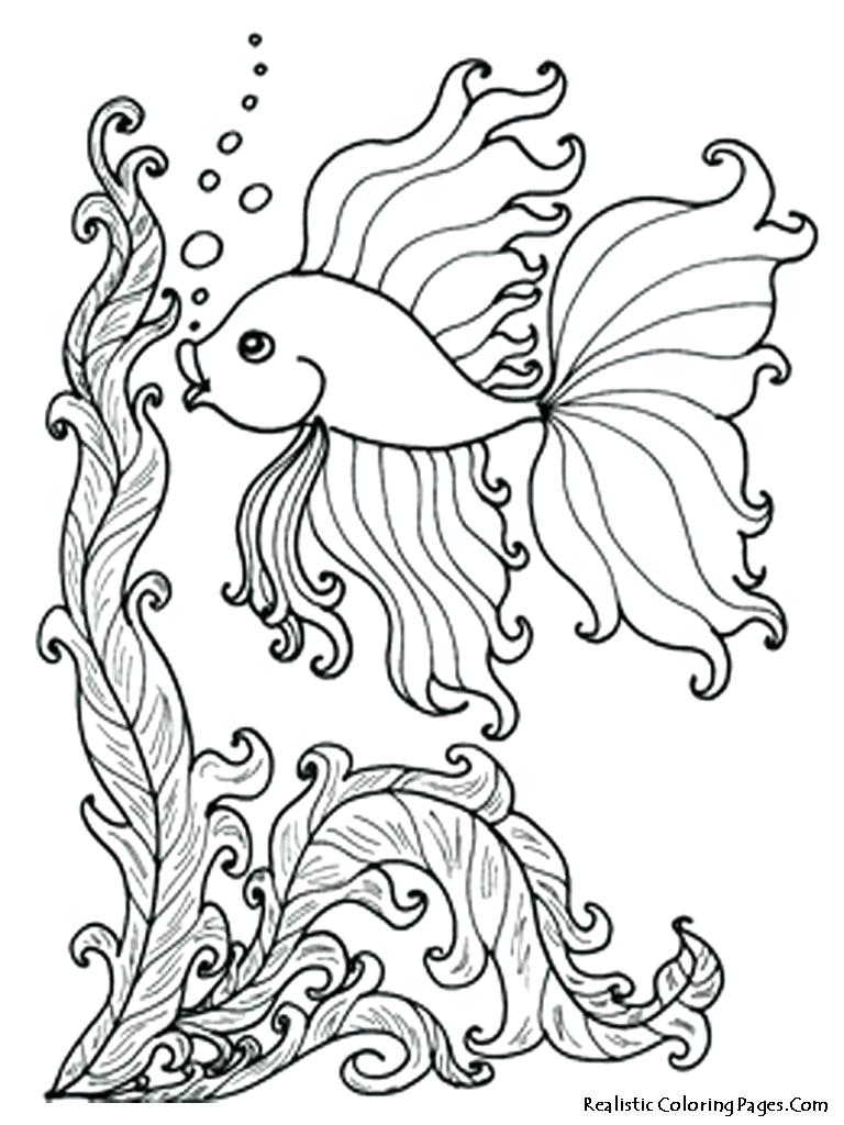 768x1024 Coloring Sea Animals Coloring Pages Drawing Ocean Printables. Sea