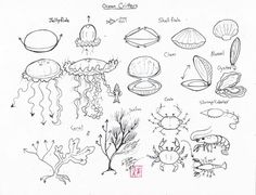 236x180 Draw Sea Horse By ~diana Huang On I'M Drawing