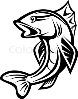 254x320 Buy Stock Photos Of Sea Bass Colourbox