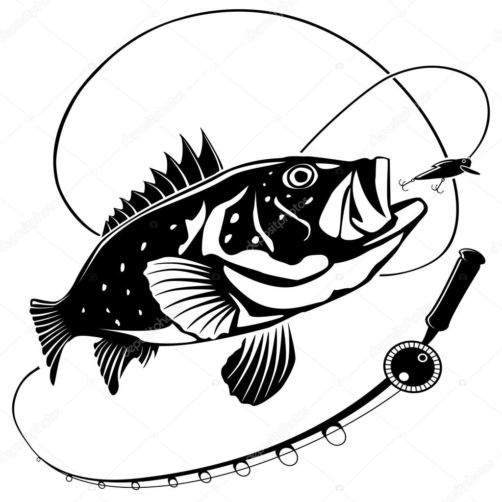 1024x1024 Sea Bass New Stock Vector Lioriki