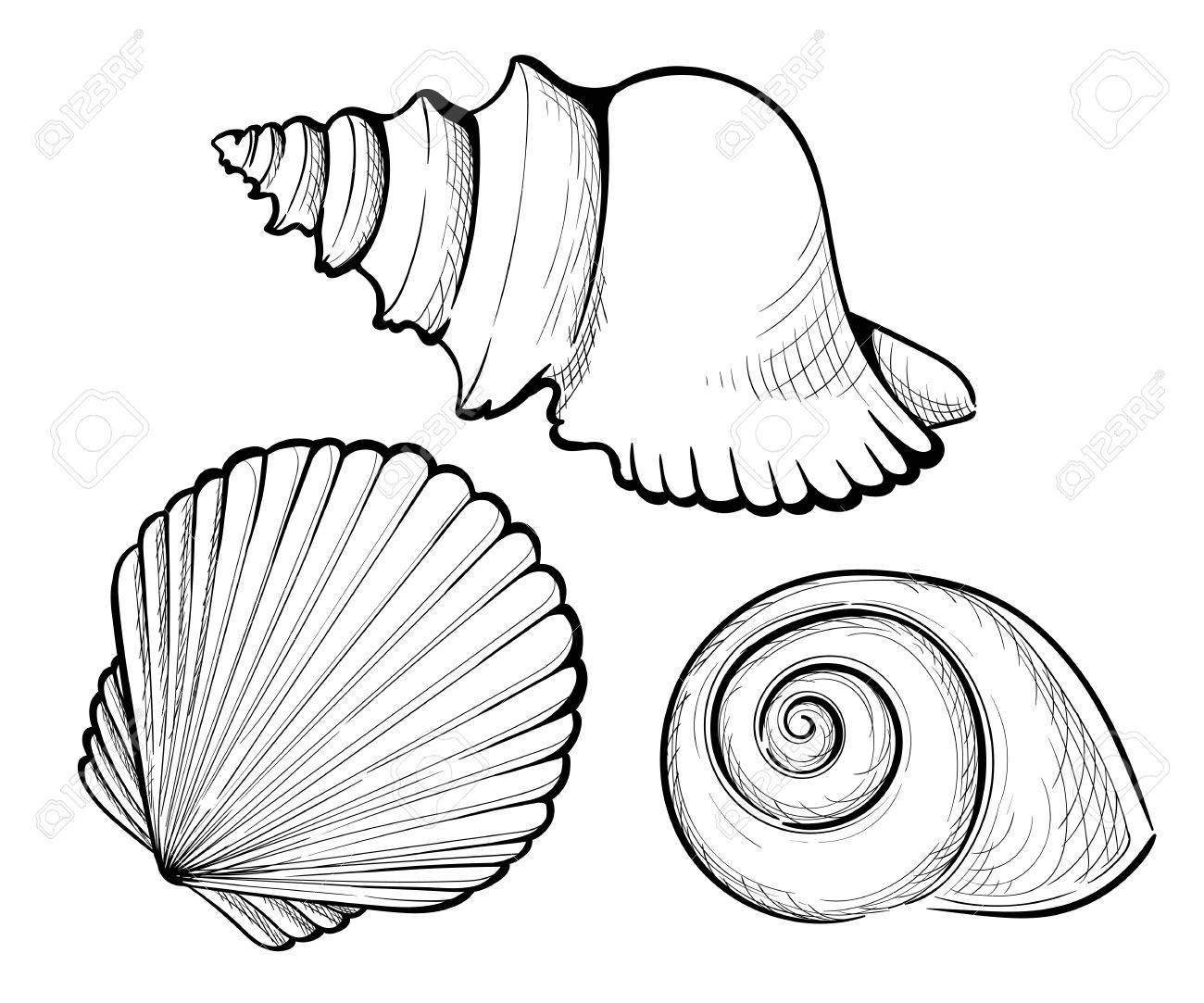 1300x1083 Hand Draw Set Sea Shell, Coral, Crab, Shrimp And Octopus. Vector