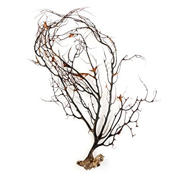 355x355 Ueetek Natural Black Sea Coral Ornaments Fish Tank