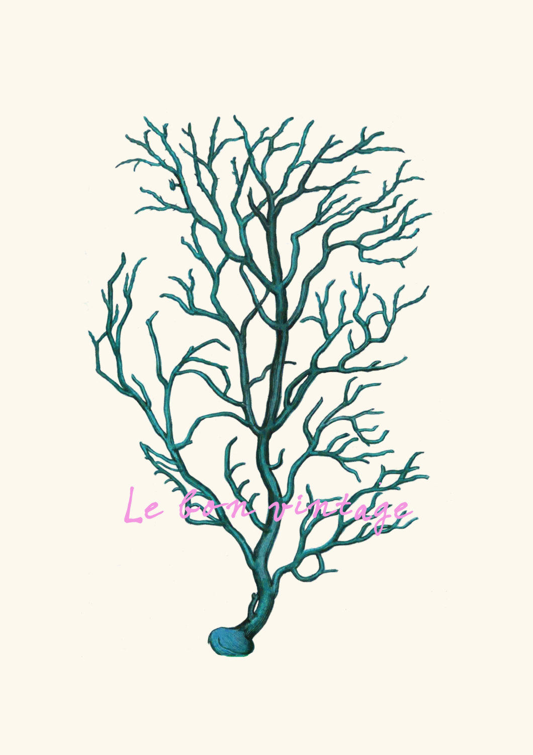 1060x1500 Vintage Sea Coral Instant Download Printable Art Png And Jpeg