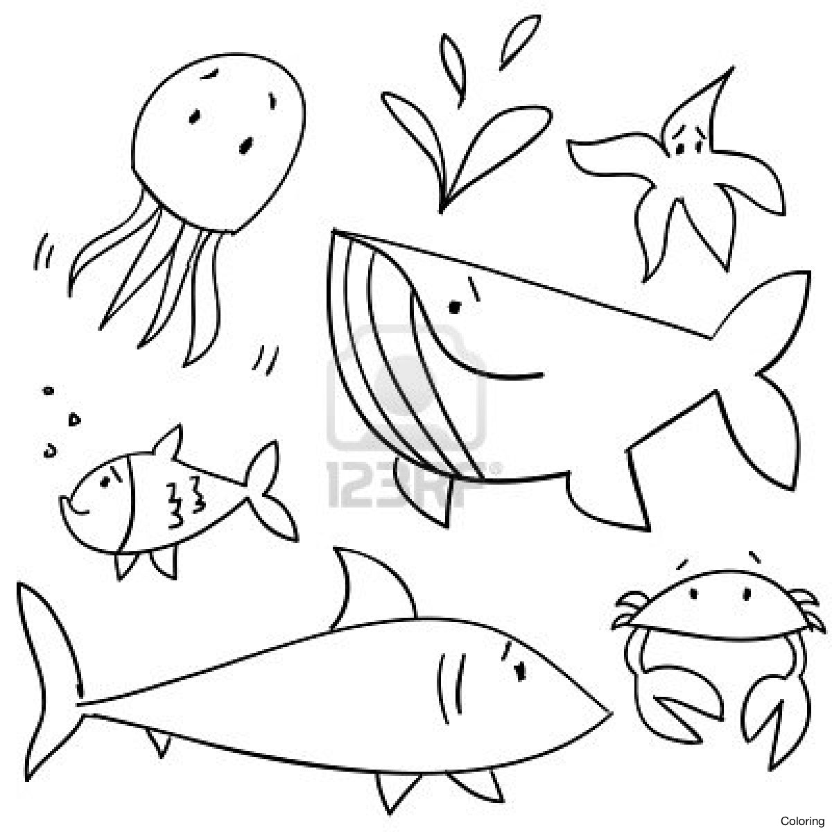 1200x1200 How To Draw Animals With Their Babies British Council As Well Book