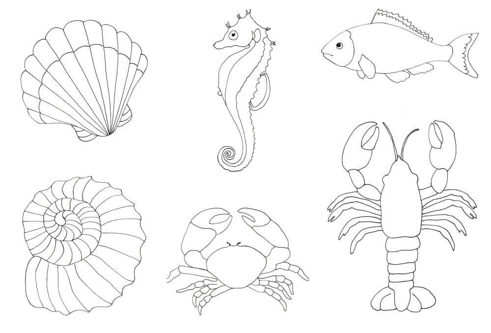 1000x678 Sea Creature Tangle Starters Art For Kids And Robots