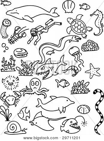 347x470 How To Draw Sea Life