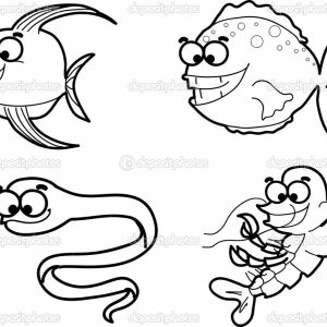 300x300 How To Draw An Easy Shark Step By Sea Animals How Adult