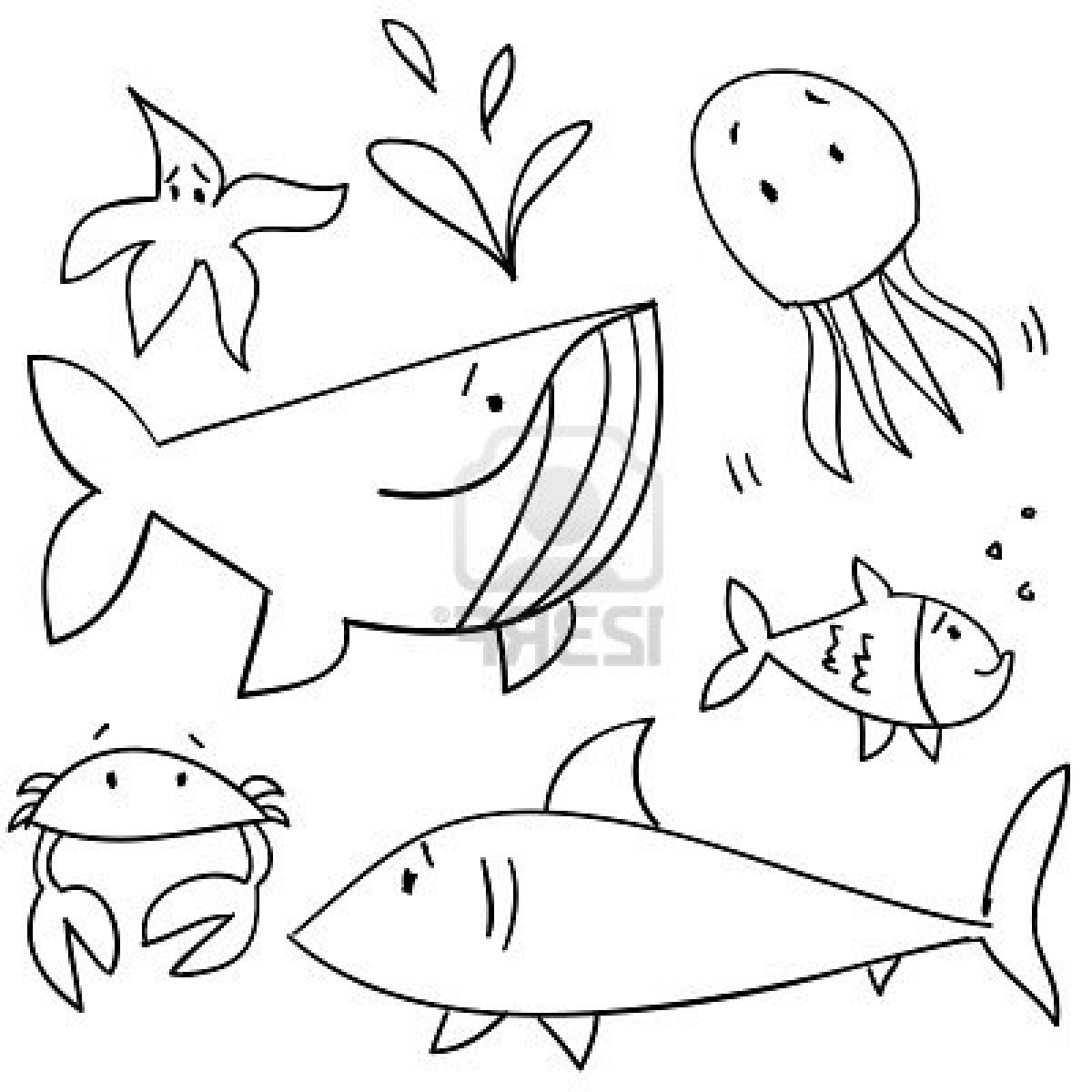 Sea Creatures Drawing at GetDrawings.com | Free for personal use Sea Creatures Drawing of your ...