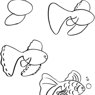 320x320 Tag For How To Draw Sea Animals How To Draw A Serious Dolphin