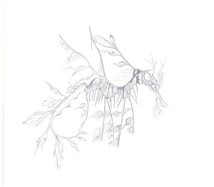 300x263 Sea Dragon Drawings