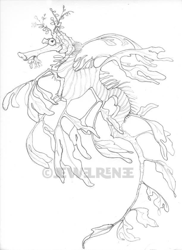 612x842 Jewel Renee Illustration Sea Dragon Drawing