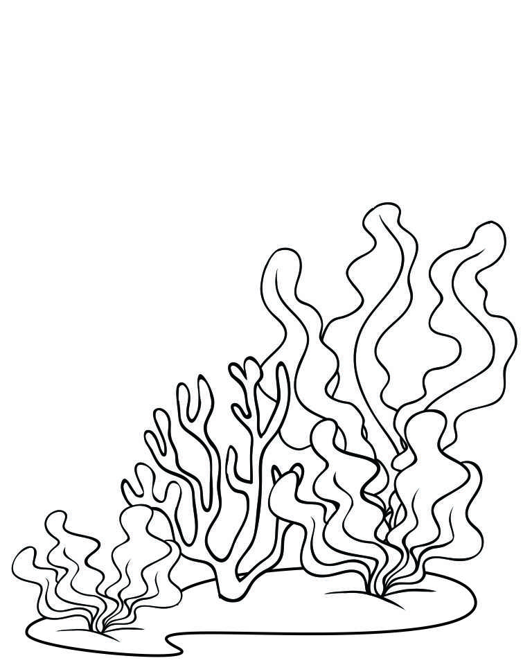 768x960 Under The Sea Background Bw