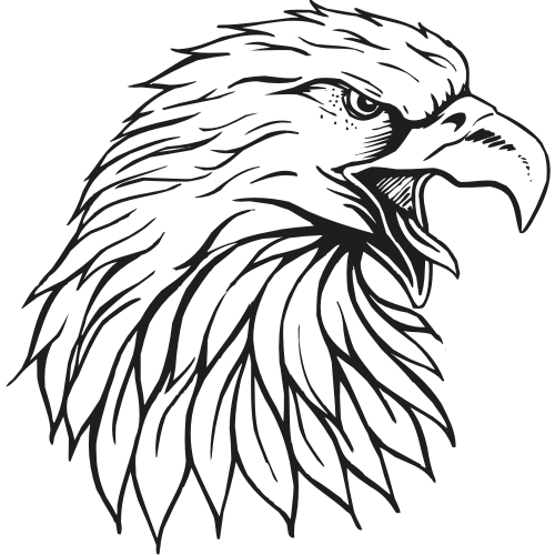 500x500 Custom Illustrations Quick Draw Graphics