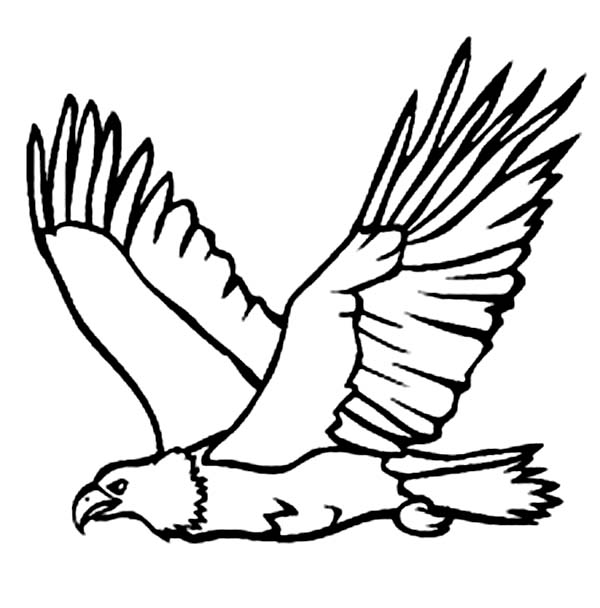 600x608 Eagle Carrying Fish From Sea Coloring Page Coloring Sun