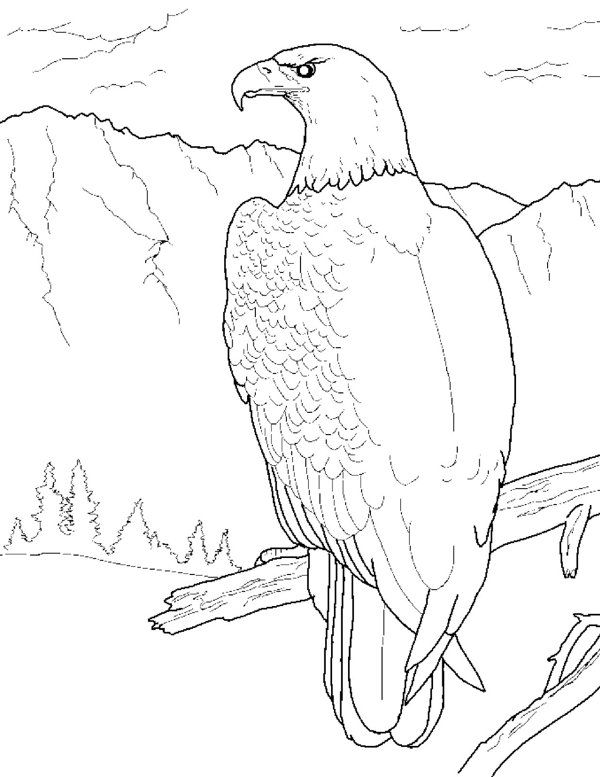 1236x1600 Eagle Coloring Pages