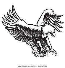 220x229 Eagle Feet Stock Photos Amp Eagle Feet Stock Images