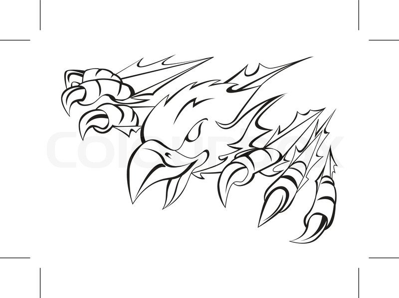 800x599 Eagle Claw Stock Vector Colourbox