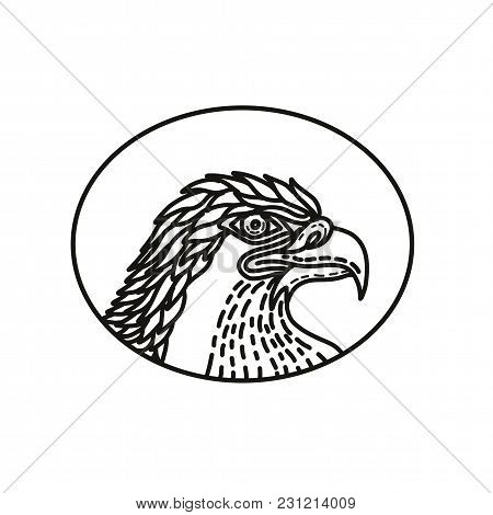 450x470 Images, Illustrations, Vectors