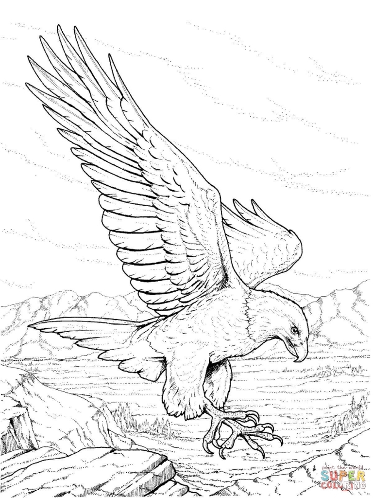 768x1024 Realistic Eagle Drawing Bald Eagle Coloring Pages Free Coloring