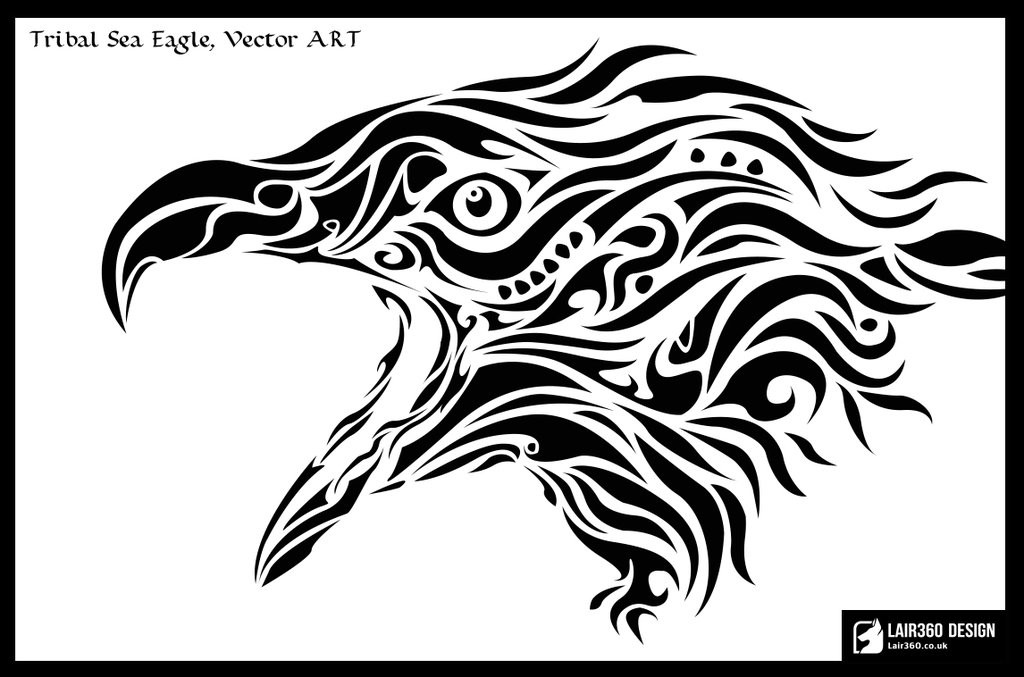 1024x677 Sea Eagle, Vector Art 2011 By Lair360