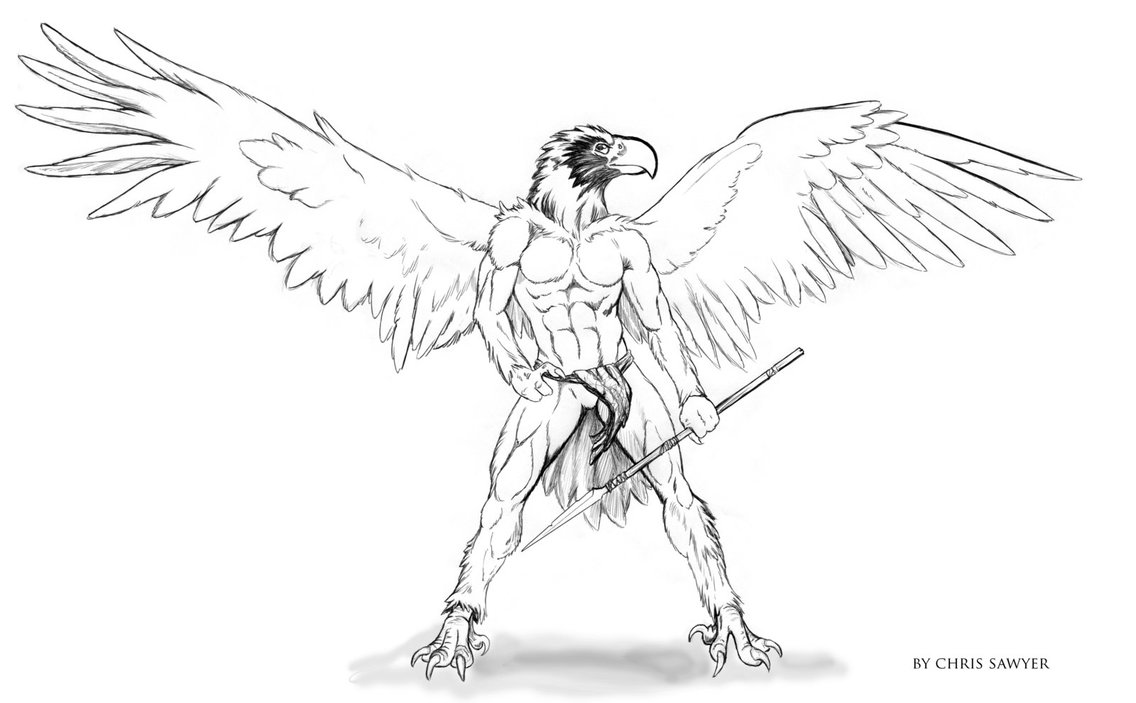 1136x703 Cs Sea Eagle By Chrissawyerart