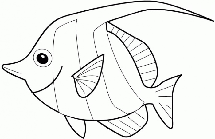 700x452 Sea Fish Coloring Page Super Bebo Pandco