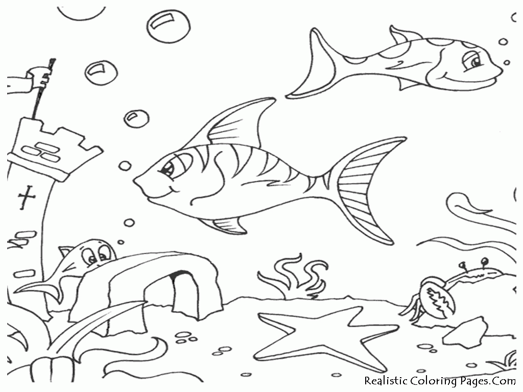 1024x768 Sea Fish Coloring Pages
