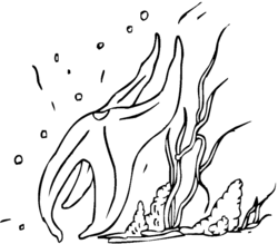 250x219 Floor Coloring Pages